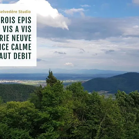 Belvédère Studio vue spectaculaire tout équipé Ammerschwihr Extérieur photo
