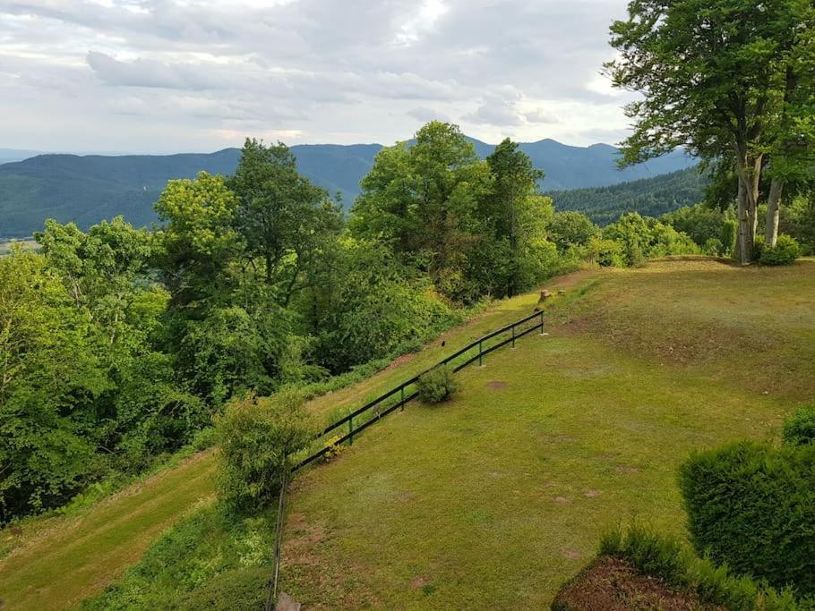 Belvédère Vue Spectaculaire équipé Appartement Ammerschwihr